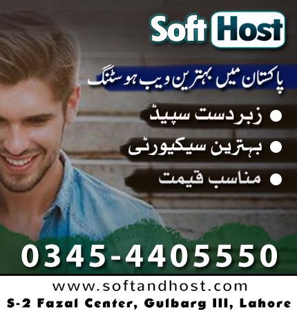 SoftandHost Logo